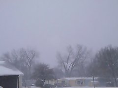 snow from 2-21-2013