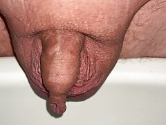 piss in the morning, small tiny foreskin dick
